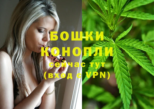 каннабис Арсеньев