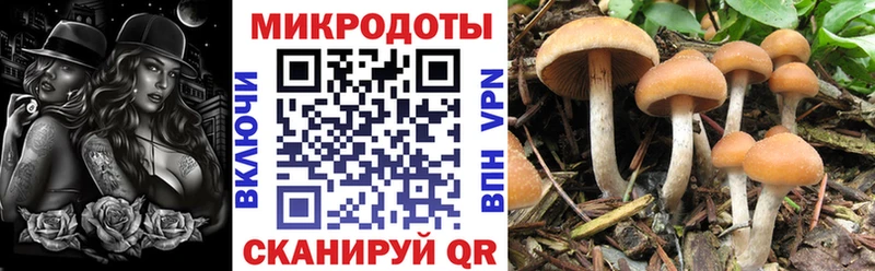 где купить наркоту  Протвино  Галлюциногенные грибы мухоморы 